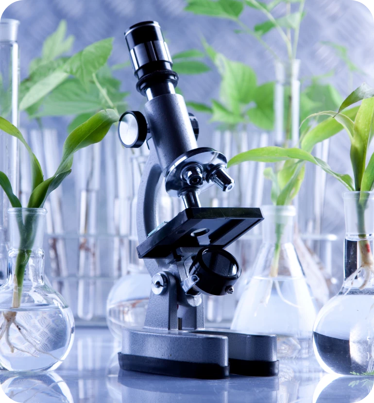 pędzenie wózkiem widłowym z&nbsp;zawrotną prędkością po&nbsp;magazynie