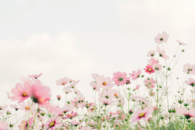 tomoko-uji-kxvn1ogpTtE-unsplash